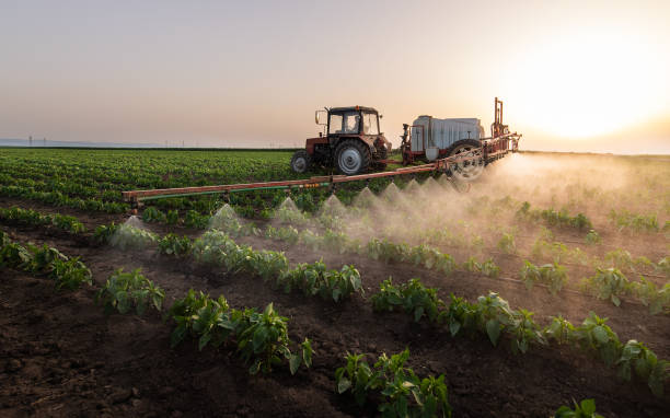 Best Pest Control Treatment  in Searles Valley, CA
