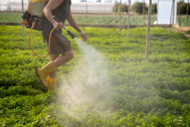 Best Pest Removal Services  in Searles Valley, CA