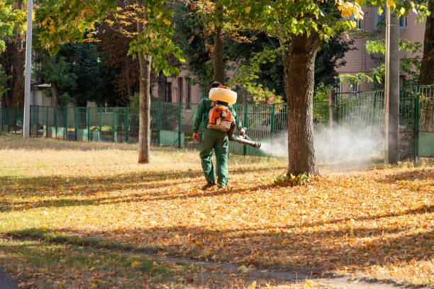 Best Flea Control Services  in Searles Valley, CA