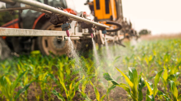 Pest Control Cost in Searles Valley, CA
